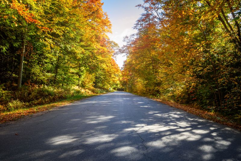 Road Paving